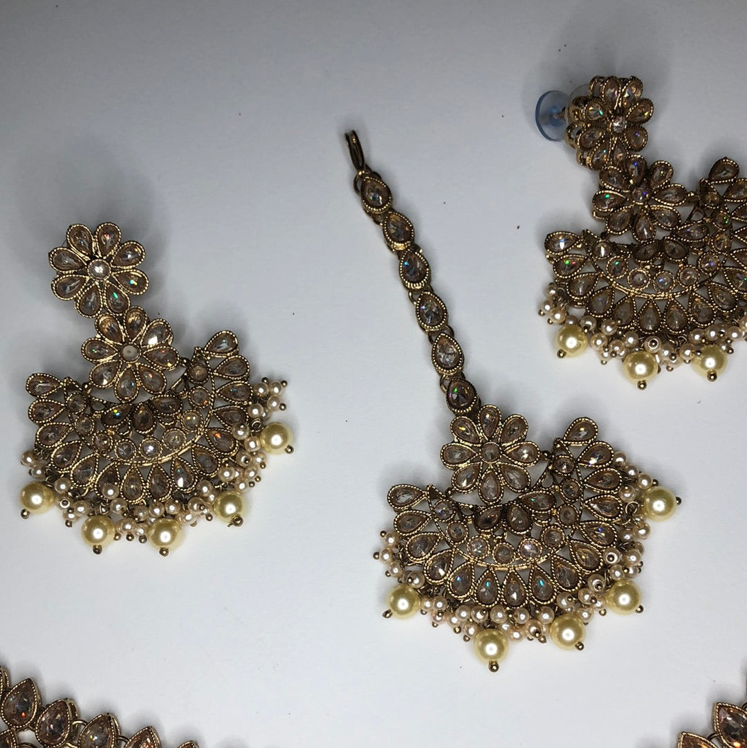 Stunning Gold Necklace Earring Set